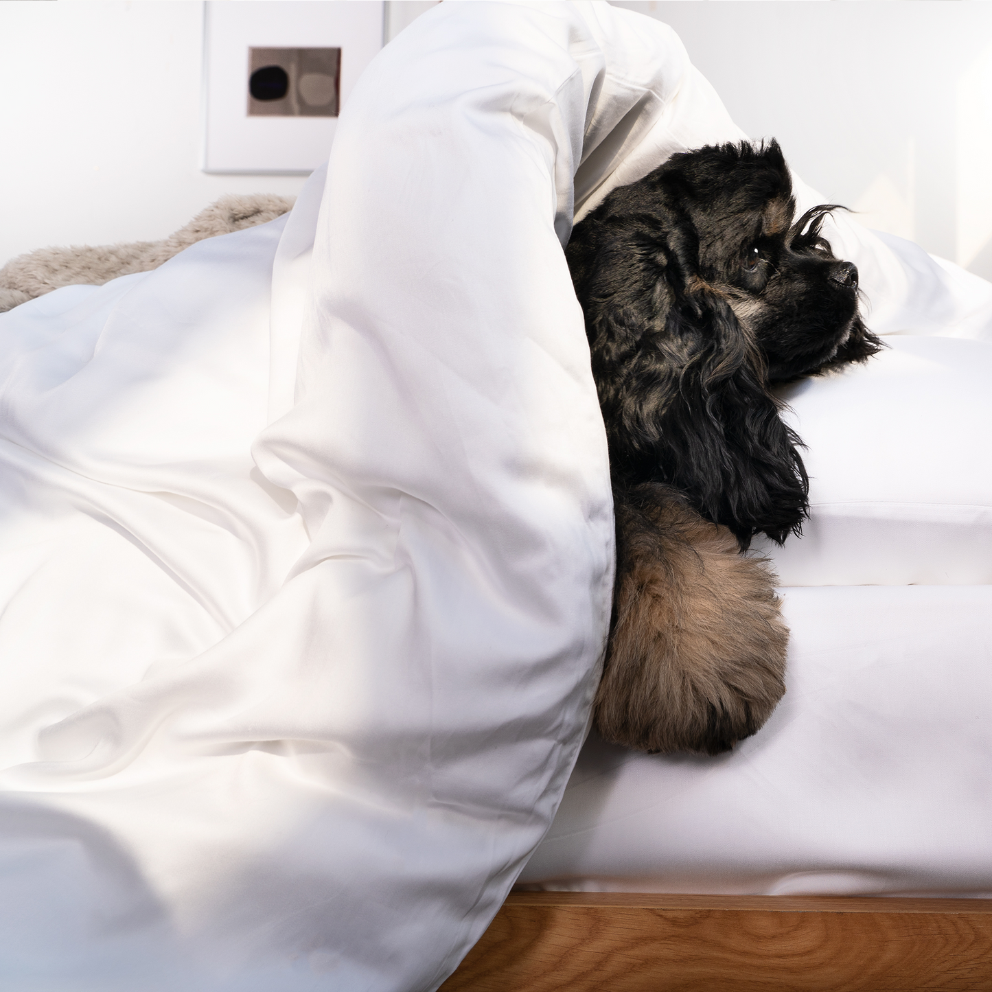 FURRFREE Bamboo Duvet Cover - Pet Hair Repellent for Dogs/Cats Family