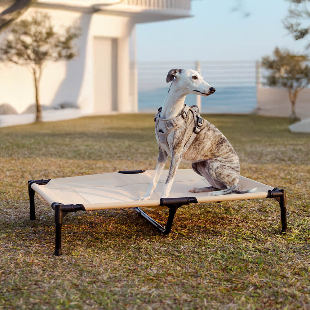 Breathable Cooling Elevated Dog Bed With Cooling Mat